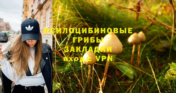 MDMA Верхний Тагил